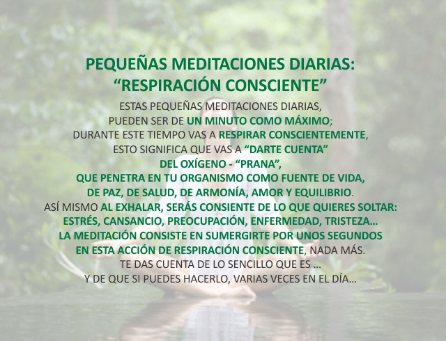 Pequeñas meditaciones diarias: